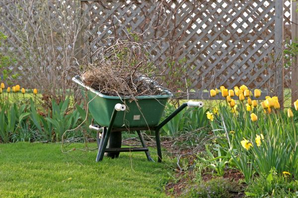 Flower Bed Cleanup Service in Mckinney