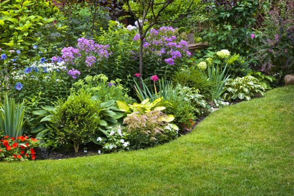 Flower Bed Service in Mckinney