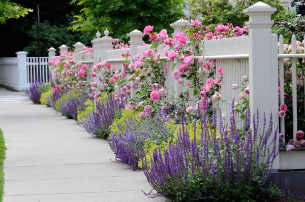 Garden Handyman Service in Mckinney