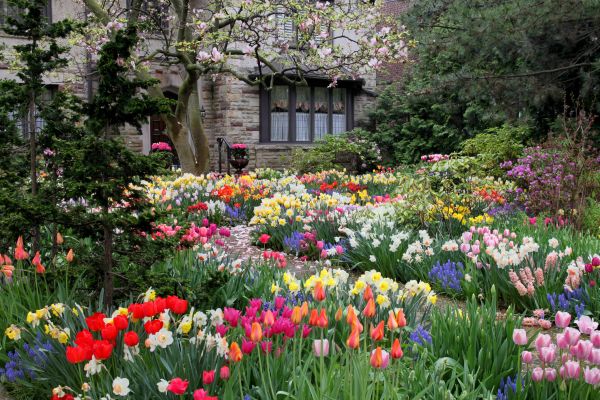 Garden Maintenance Service in Mckinney