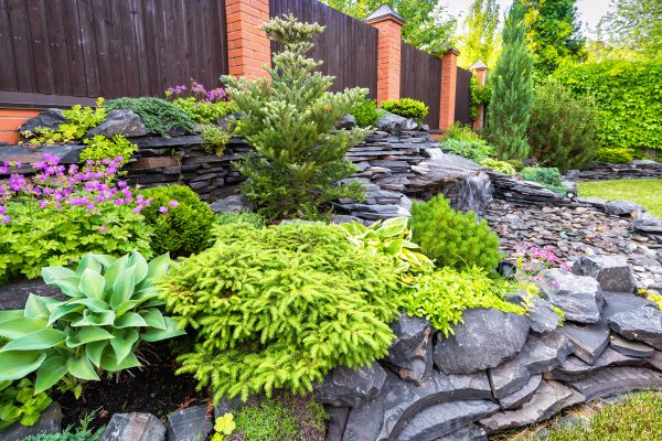 Landscape Remodeling in Mckinney