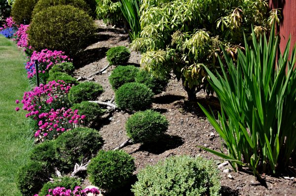 Residential Gardening in Mckinney