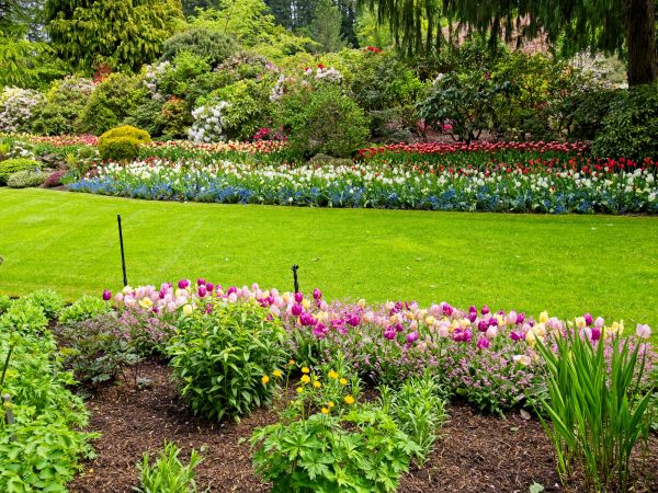 Residential Landscape Design in Mckinney