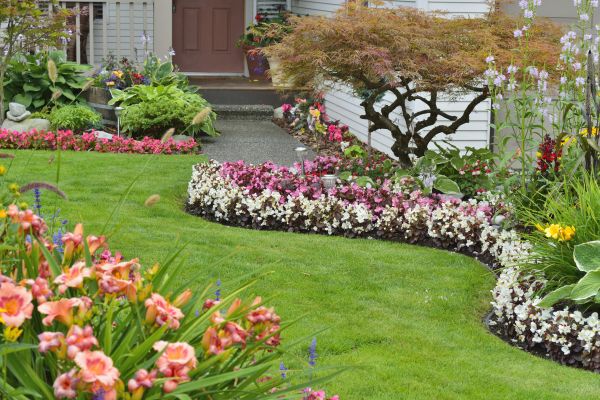 Perennial Landscaping in Mckinney