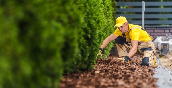 Cypress Mulch Installation in Mckinney
