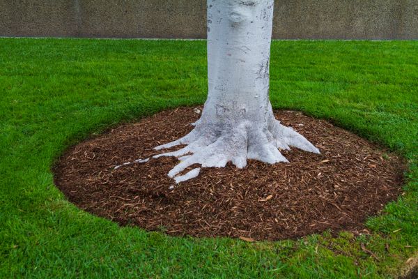 Brown Mulch Installation in Mckinney