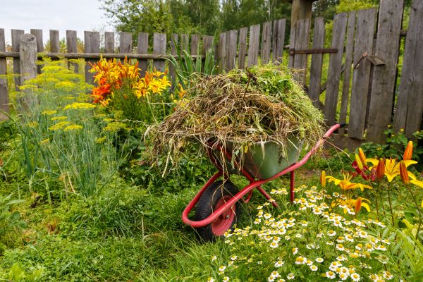 Garden Cleanup Service in Mckinney