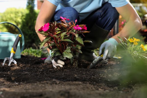 Plant Installation in Mckinney