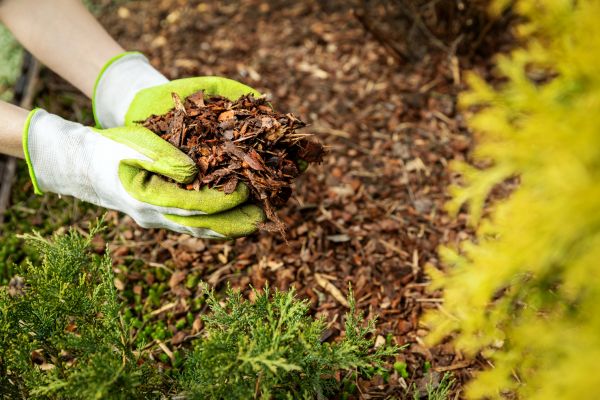 Garden Mulch Delivery in Mckinney