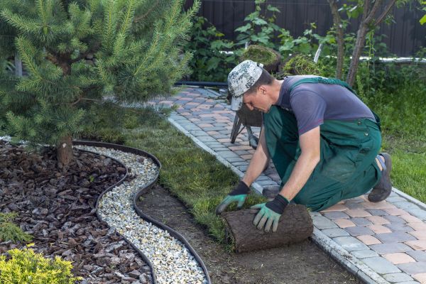 Landscaping Modification in Mckinney