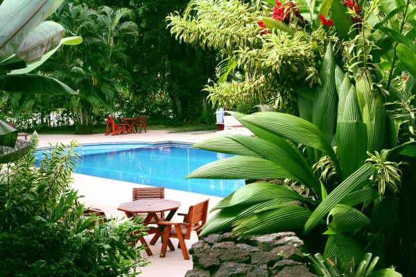 Pool Area Landscaping in Mckinney