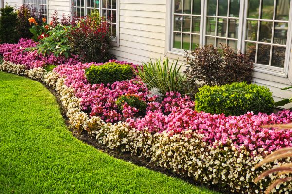 House Landscaping in Mckinney