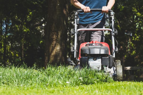 Garden Trimming Service in Mckinney