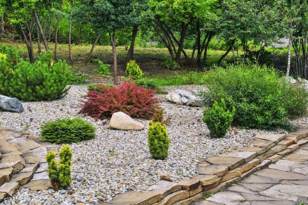 Hardscape Landscaping in Mckinney