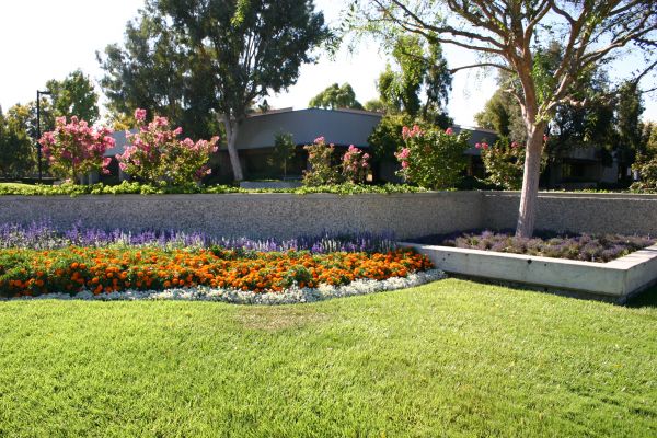 Commercial Landscape Service in Mckinney