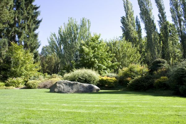 Yard Enlargement in Mckinney