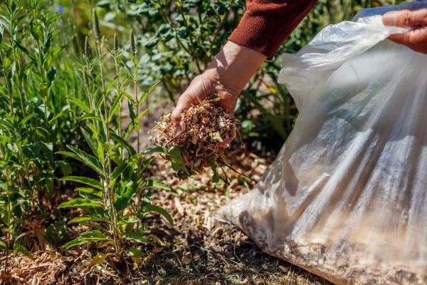 Wood Mulch Installation in Mckinney