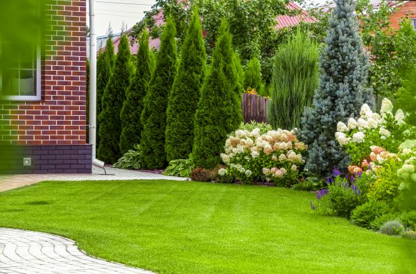 Spring Landscaping in Mckinney