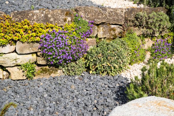 Landscaping Rocks Installation in Mckinney