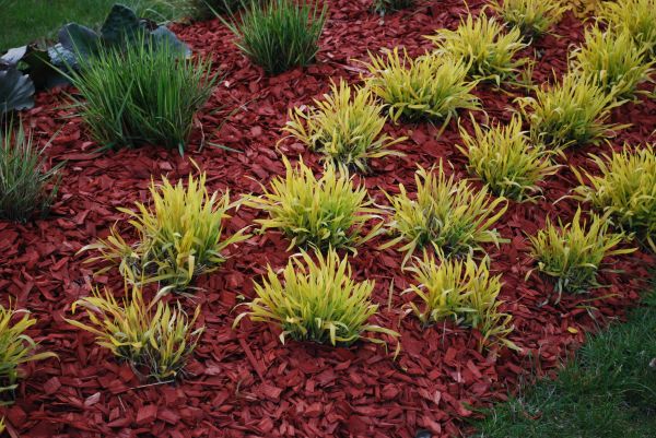 Red Mulch Installation in Mckinney