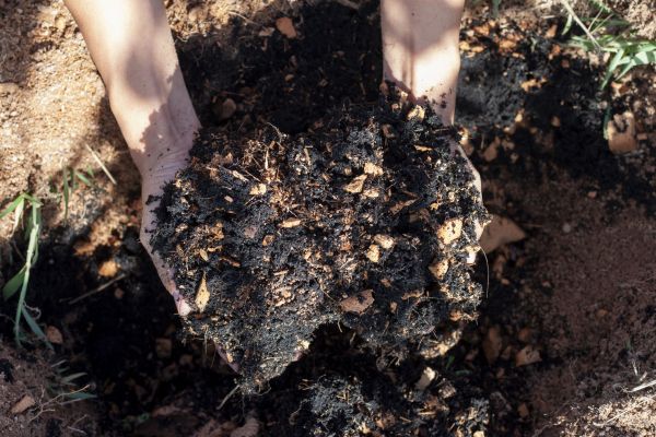 Organic Mulch Installation in Mckinney
