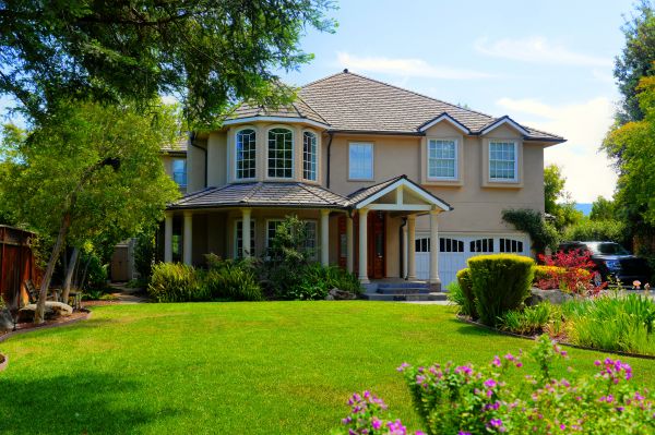 Large Yard Landscaping in Mckinney
