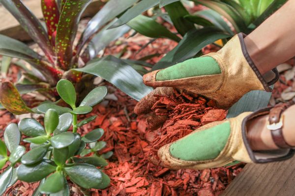 Residential Mulching in Mckinney