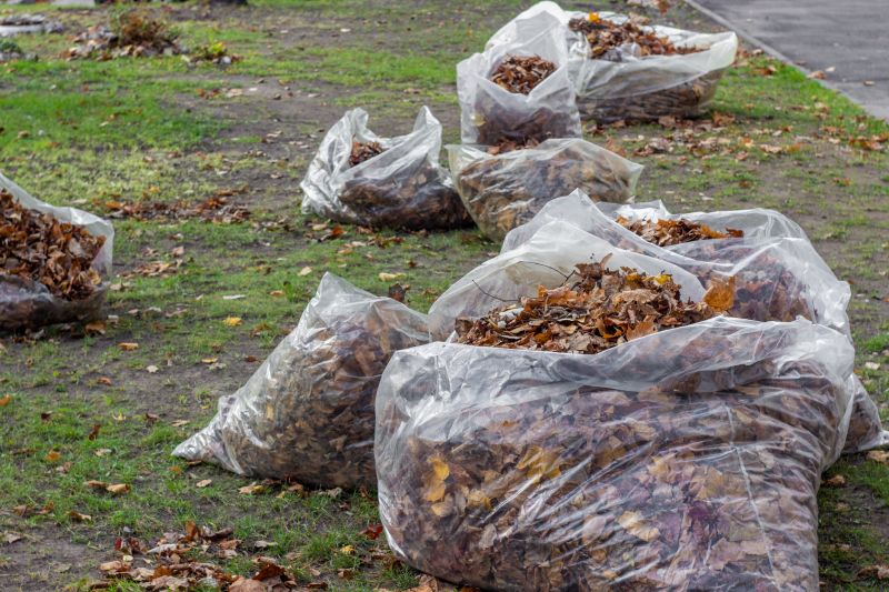 Leaves Being Disposed