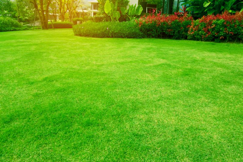 Lawn and Planting Areas